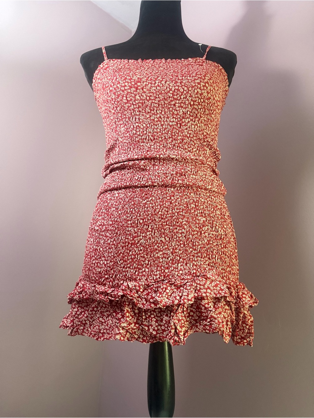 American Eagle Outfitters Red and Cream Floral Dress